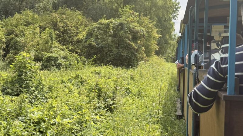 Expérience unique : mon après-midi à bord du train à vapeur de Saint-Amand-les-Eaux